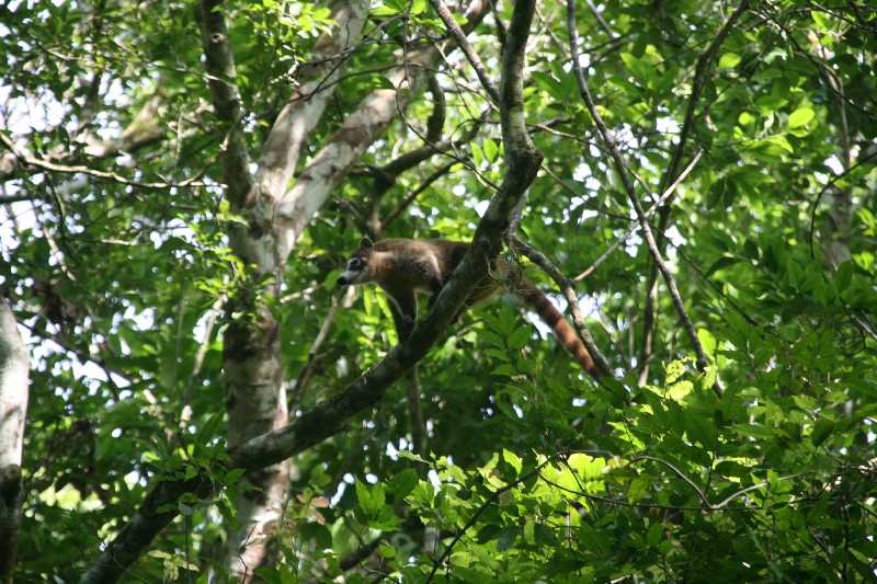 Mexico & Guatemala 2010 - 1064